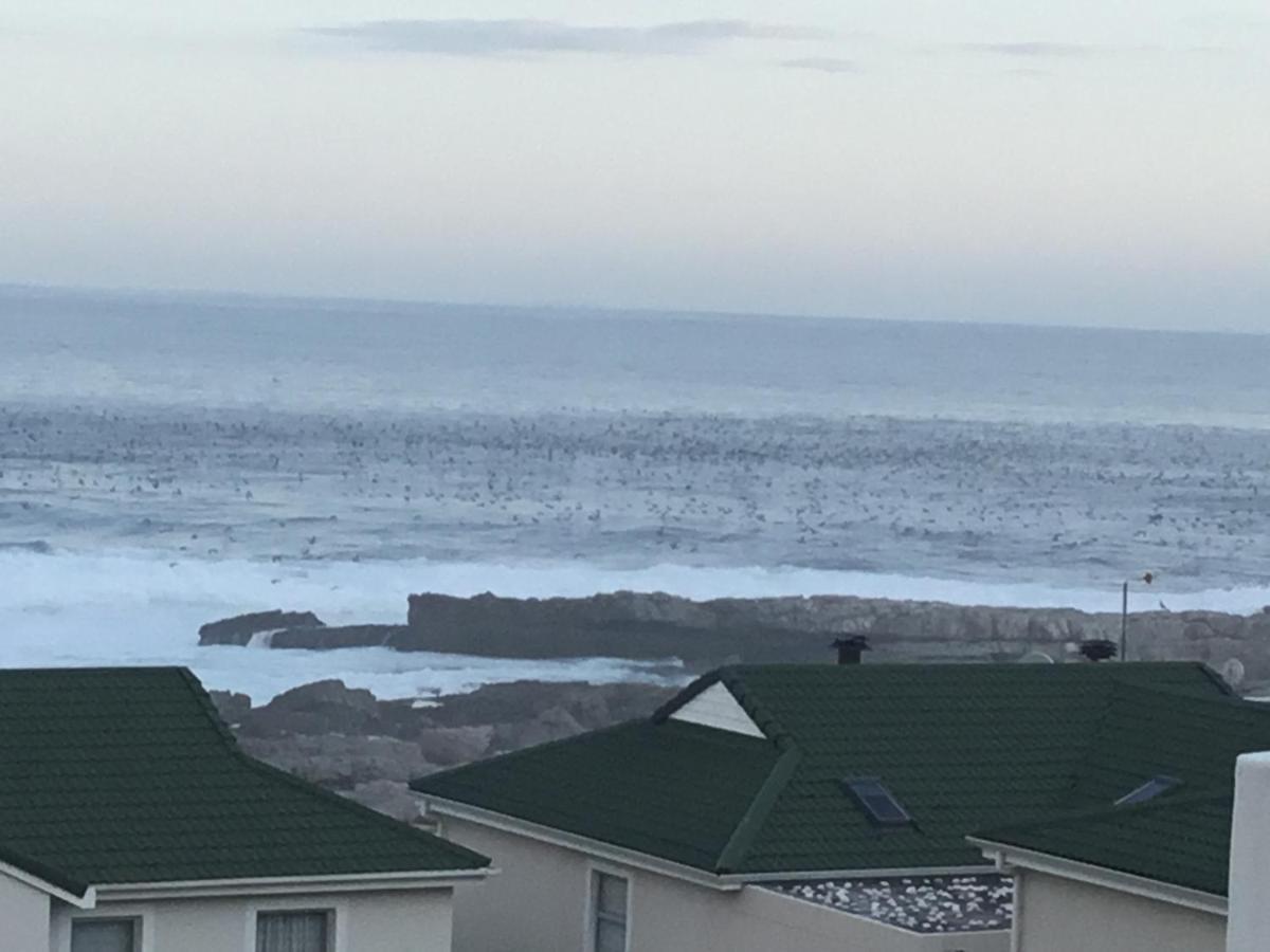 43 Whale Rock Estate Appartement Hermanus Buitenkant foto